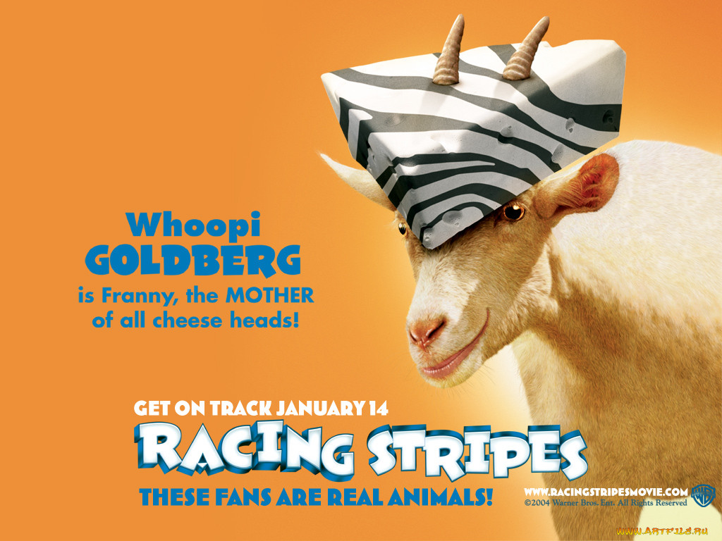 racing, stripes, 03, 